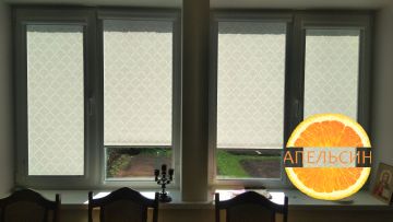 Рулонные шторы в гостинную 